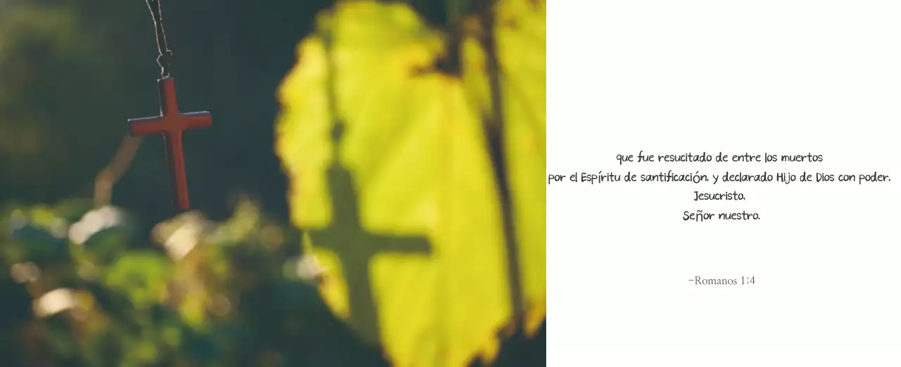 Caligrafía sencilla Promoción de la Biblia en la Iglesia