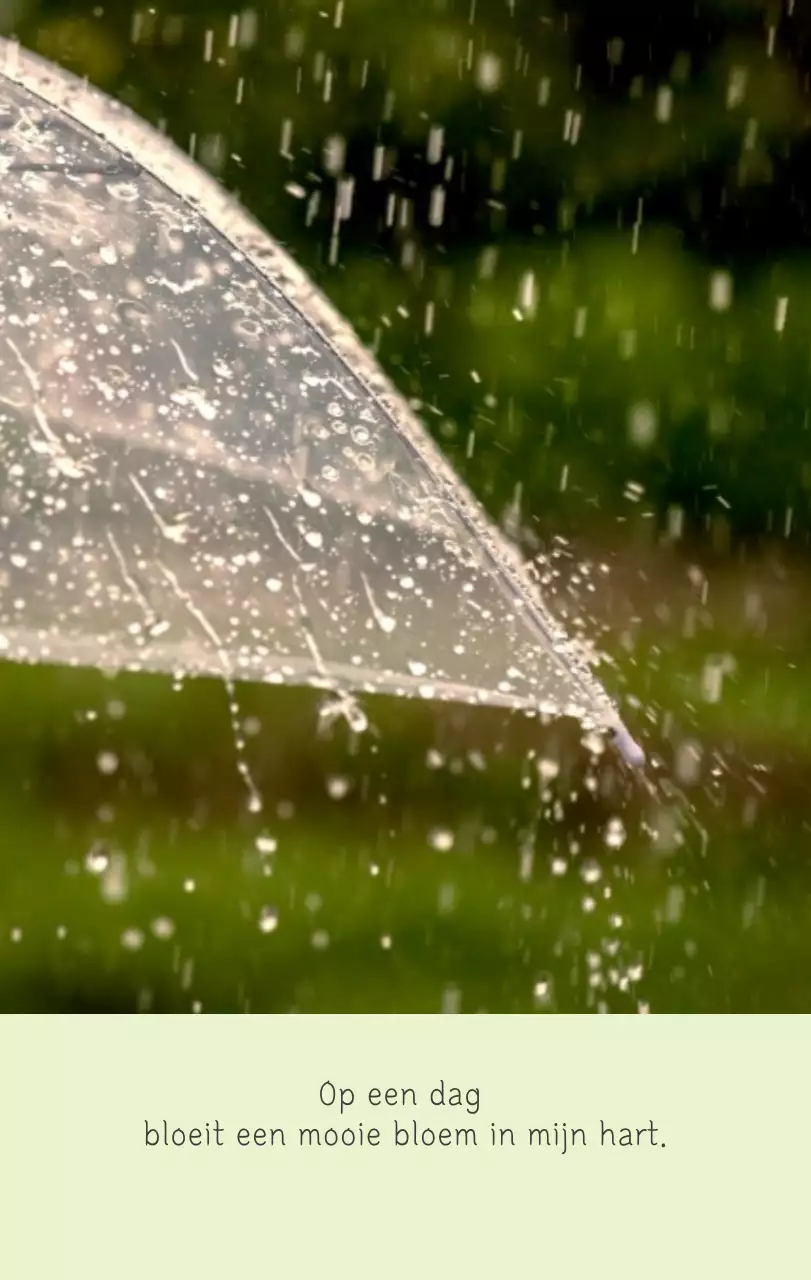 Witte schone botanische natuurkalender