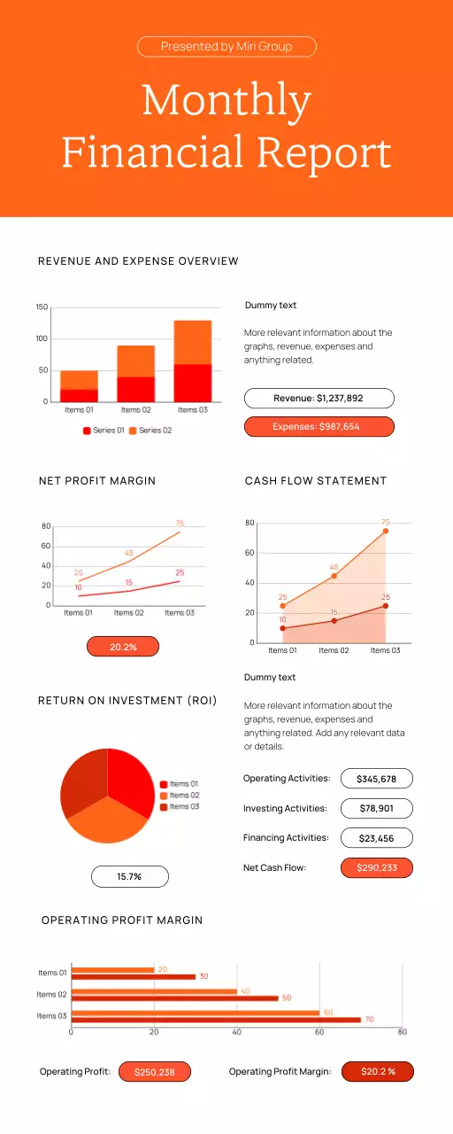 Orange Modern Financial Report Document Infographic