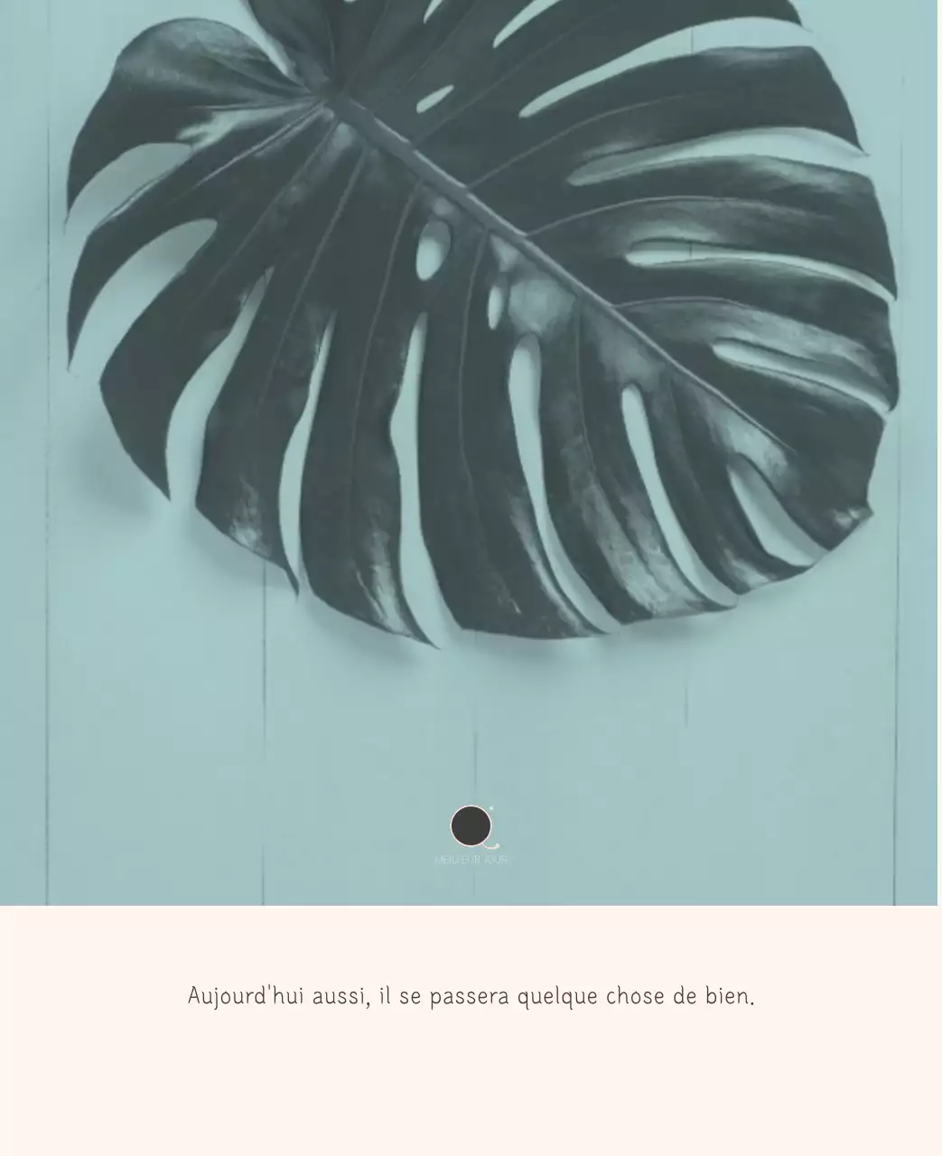 Calendrier botanique blanc et propre