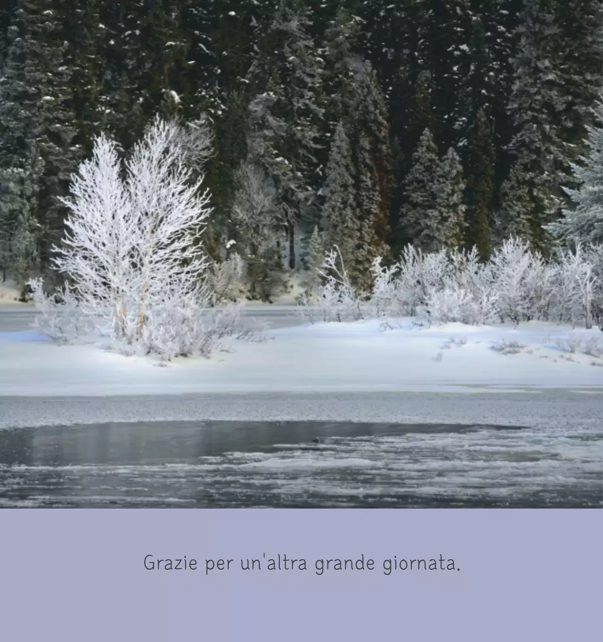 Calendario botanico naturale bianco e pulito