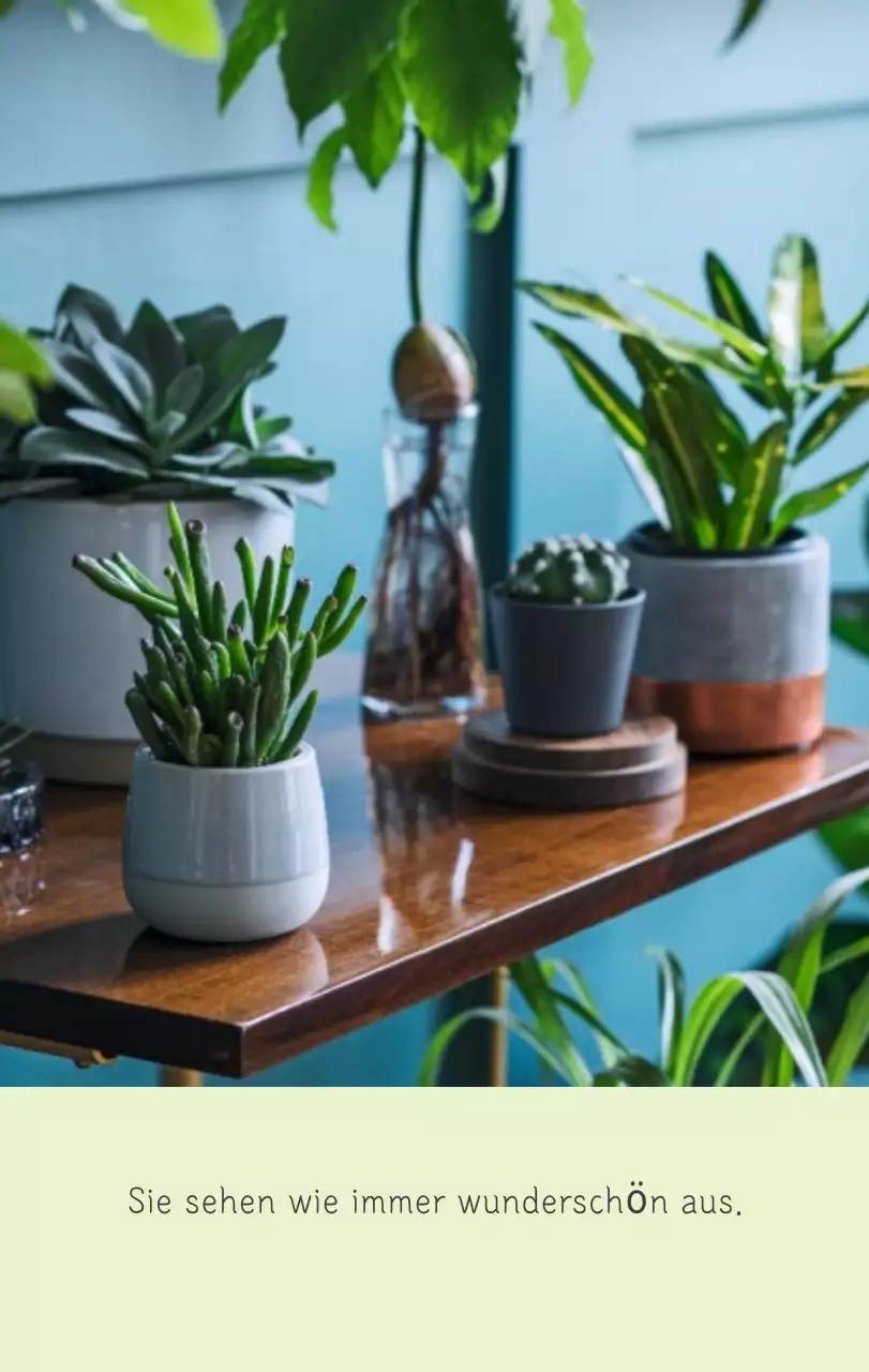 Weißer sauberer botanischer Naturkalender