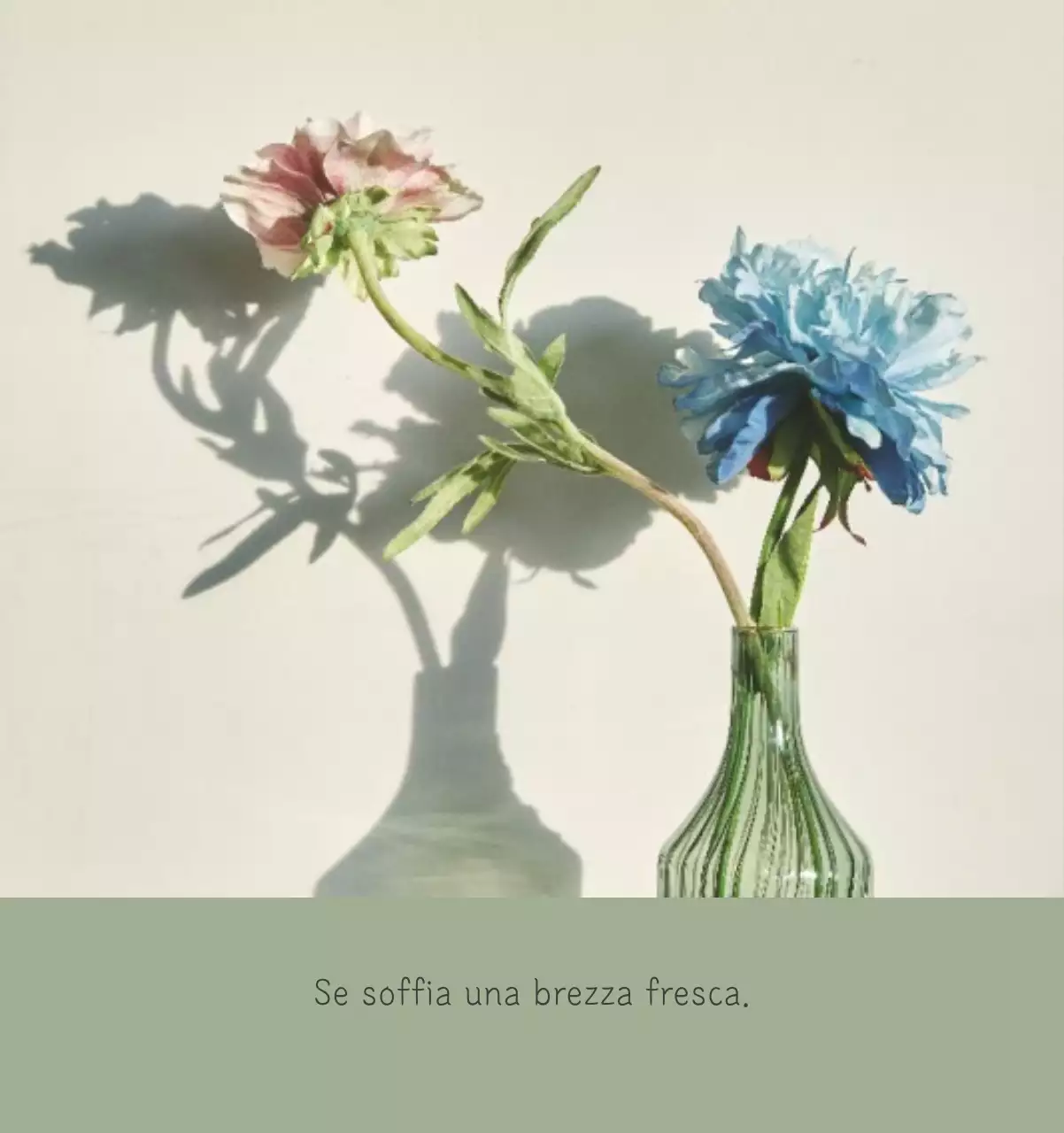 Calendario botanico naturale bianco e pulito