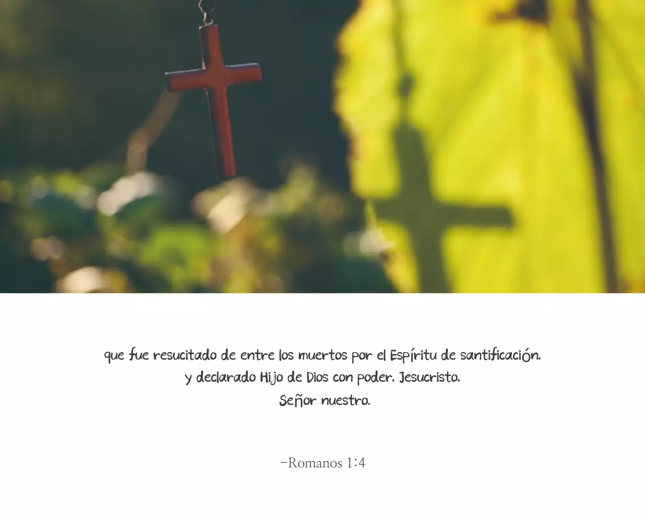 Caligrafía sencilla Promoción de la Biblia en la Iglesia