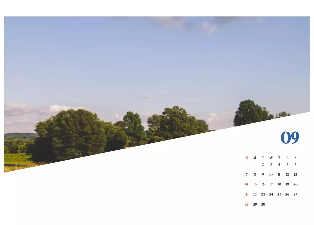 Blue Modern Hospital Calendar