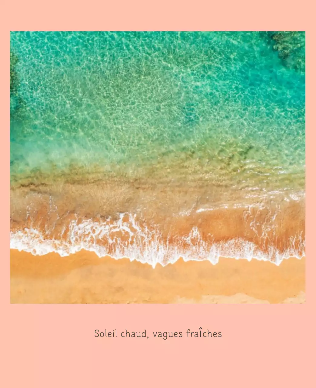 Calendrier botanique blanc et propre