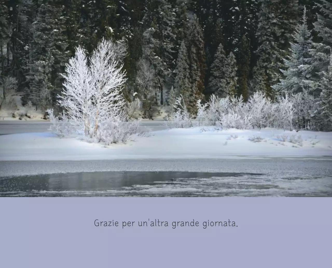 Calendario botanico naturale bianco e pulito