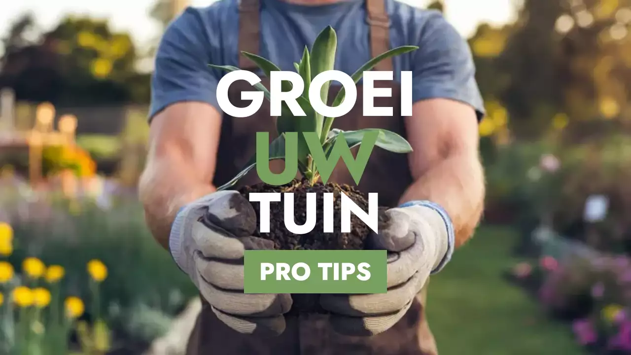 gids voor groen rustiek tuinieren