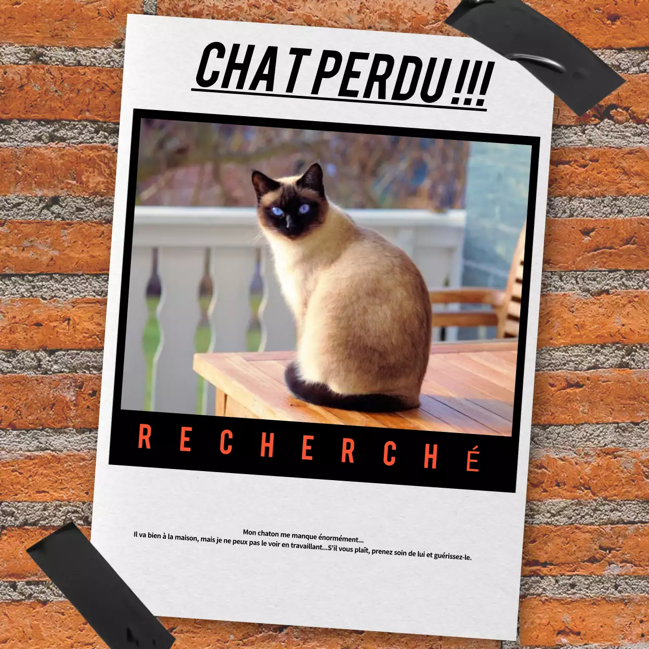 Publicité rétro pour les animaux de compagnie