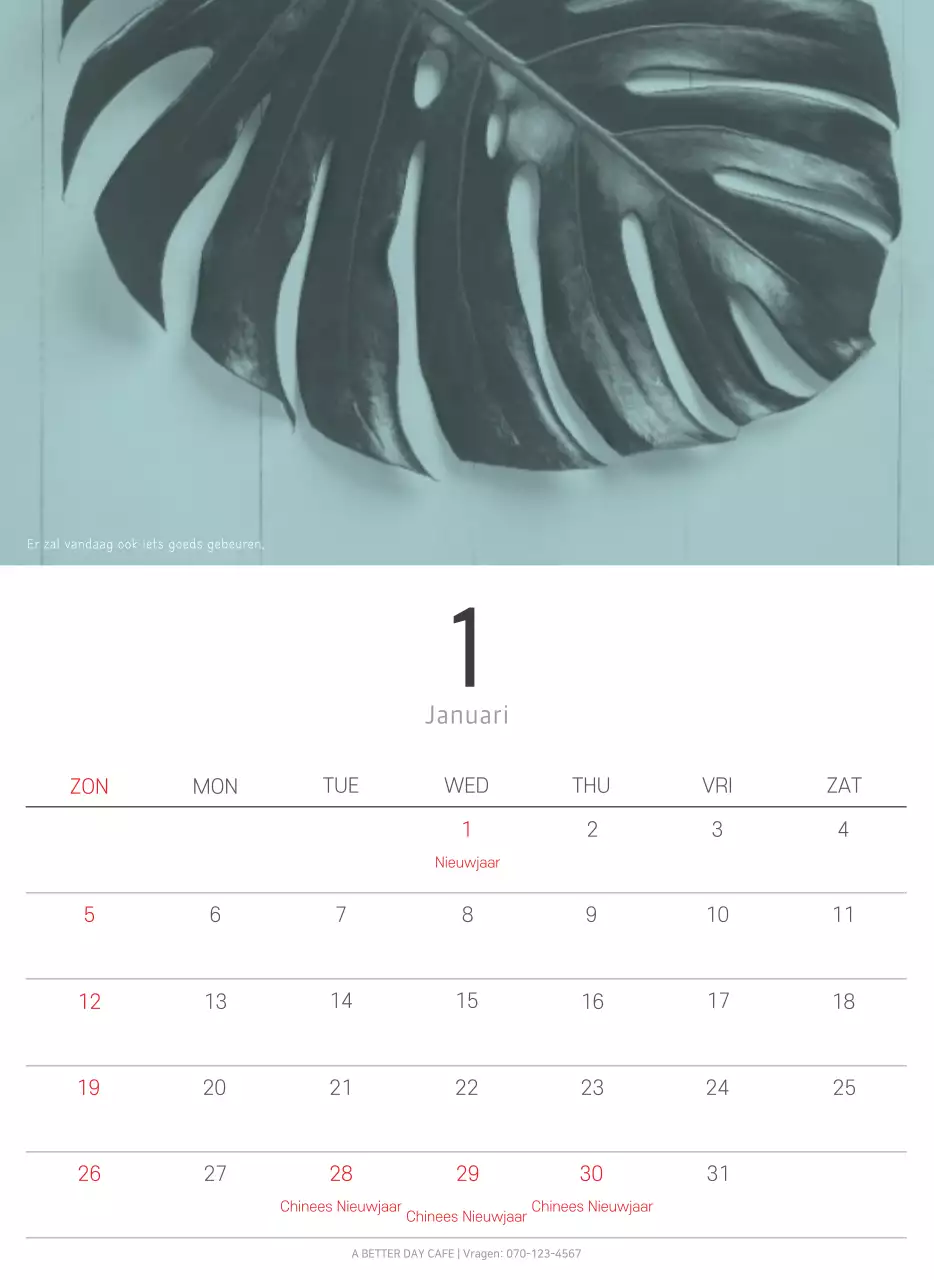 Witte schone botanische natuurkalender