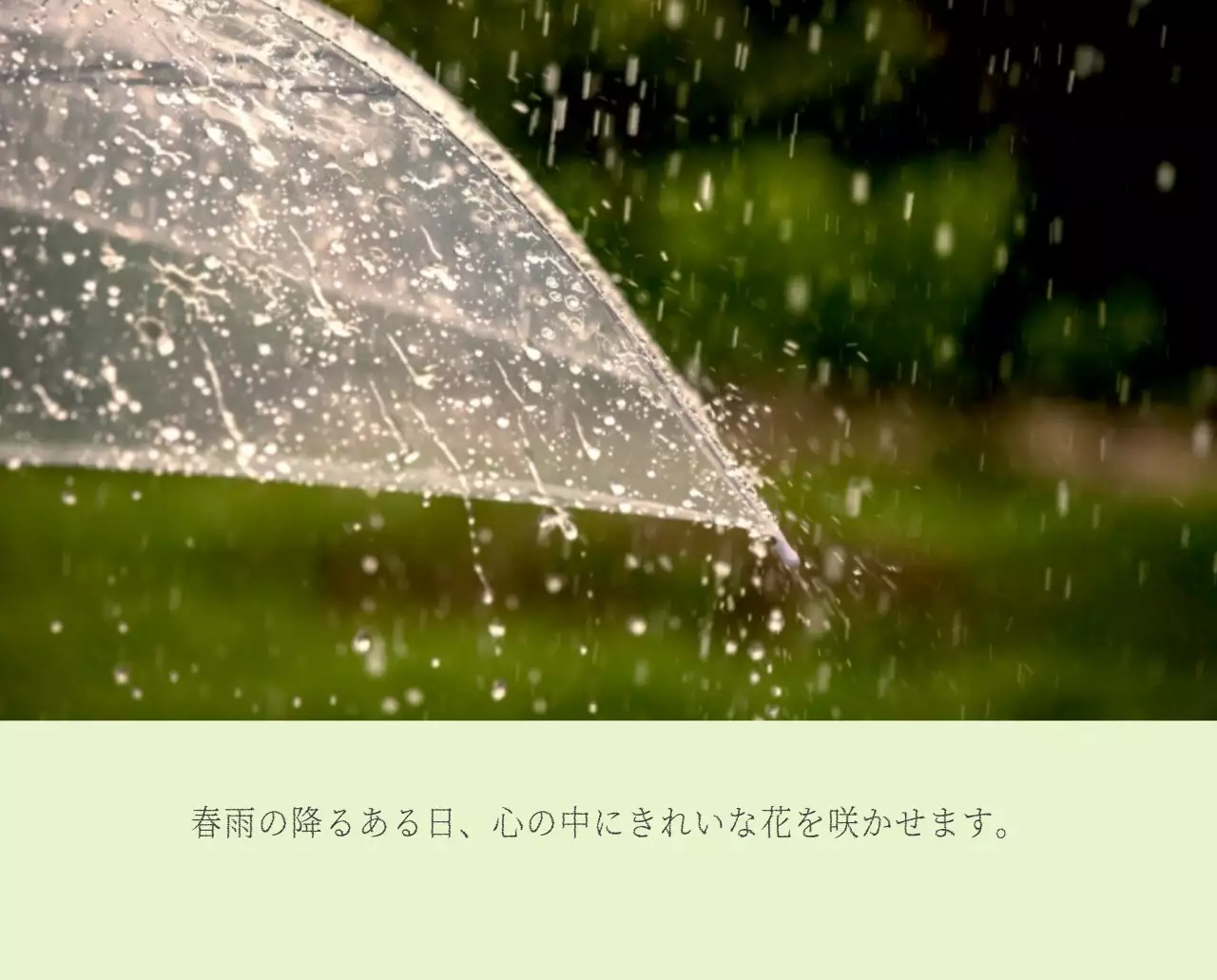 ホワイトのすっきりとしたボタニカルナチュラルカレンダー