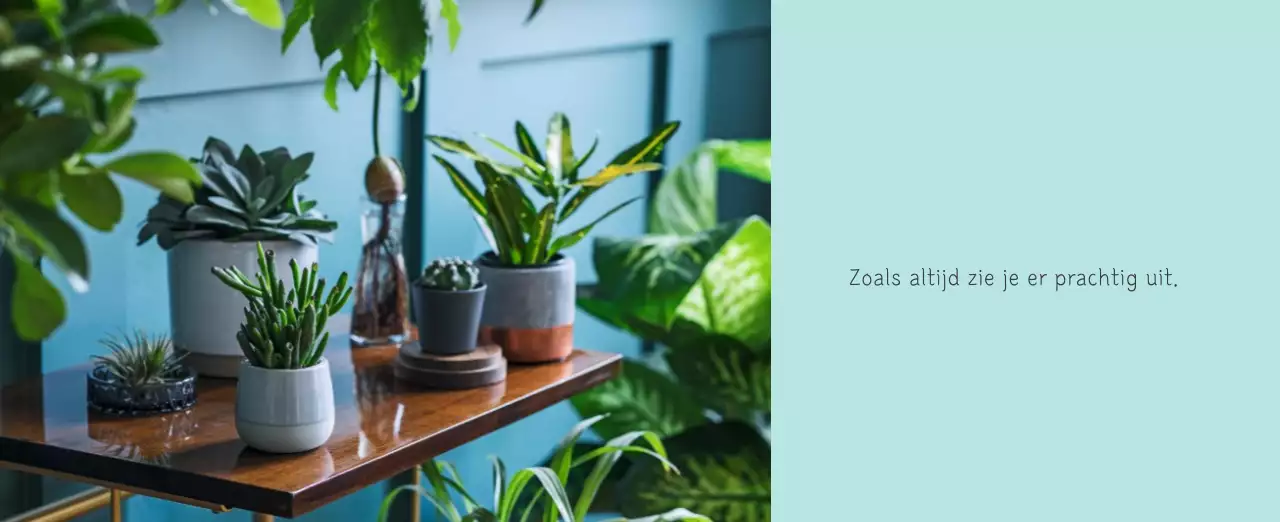 Witte schone botanische natuurkalender