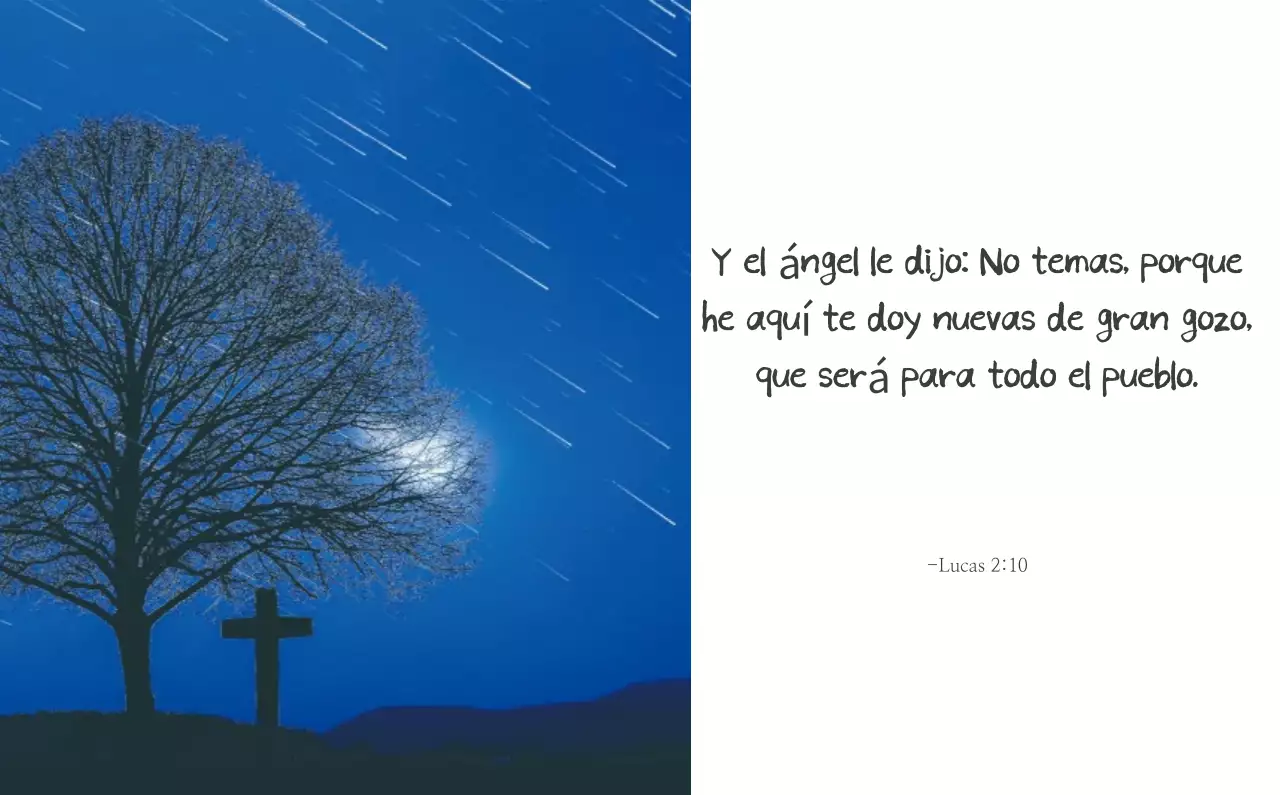 Caligrafía sencilla Promoción de la Biblia en la Iglesia