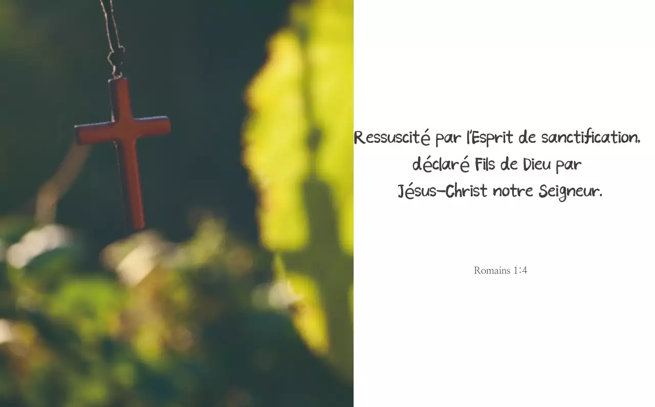 Calligraphie simple Promotion de l'église biblique