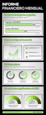 informe financiero mensual de green plain