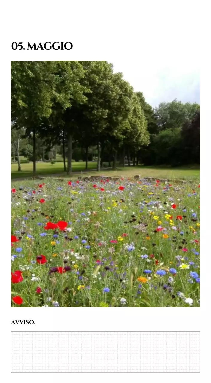 Calendario semplice con concetto di fotografia di viaggio emozionale in bianco e nero