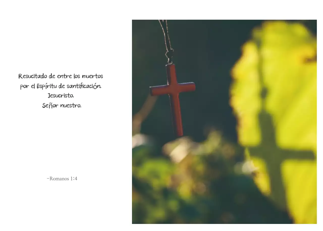 Caligrafía sencilla Promoción de la Biblia en la Iglesia