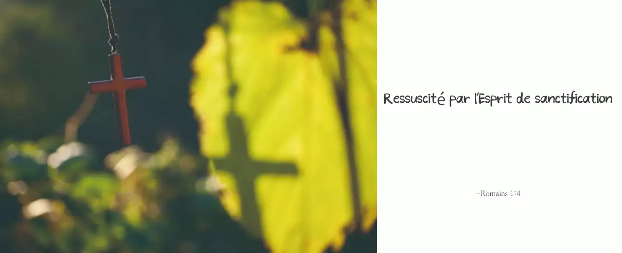 Calligraphie simple Promotion de l'église biblique