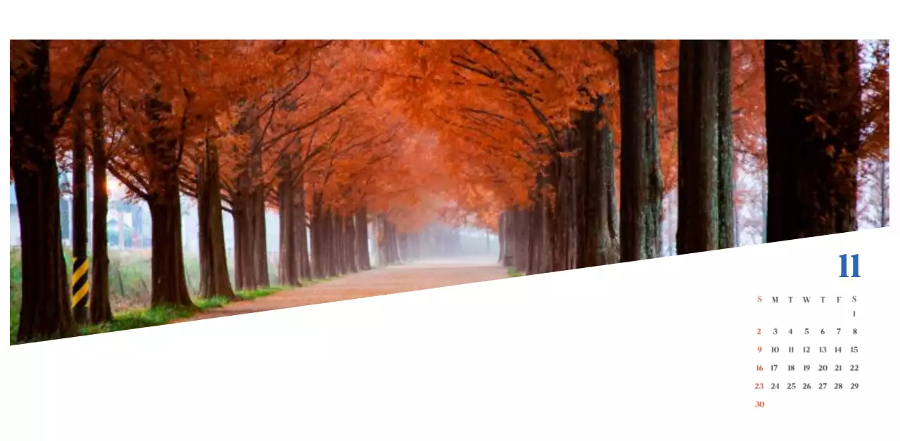 Calendario ospedaliero moderno blu