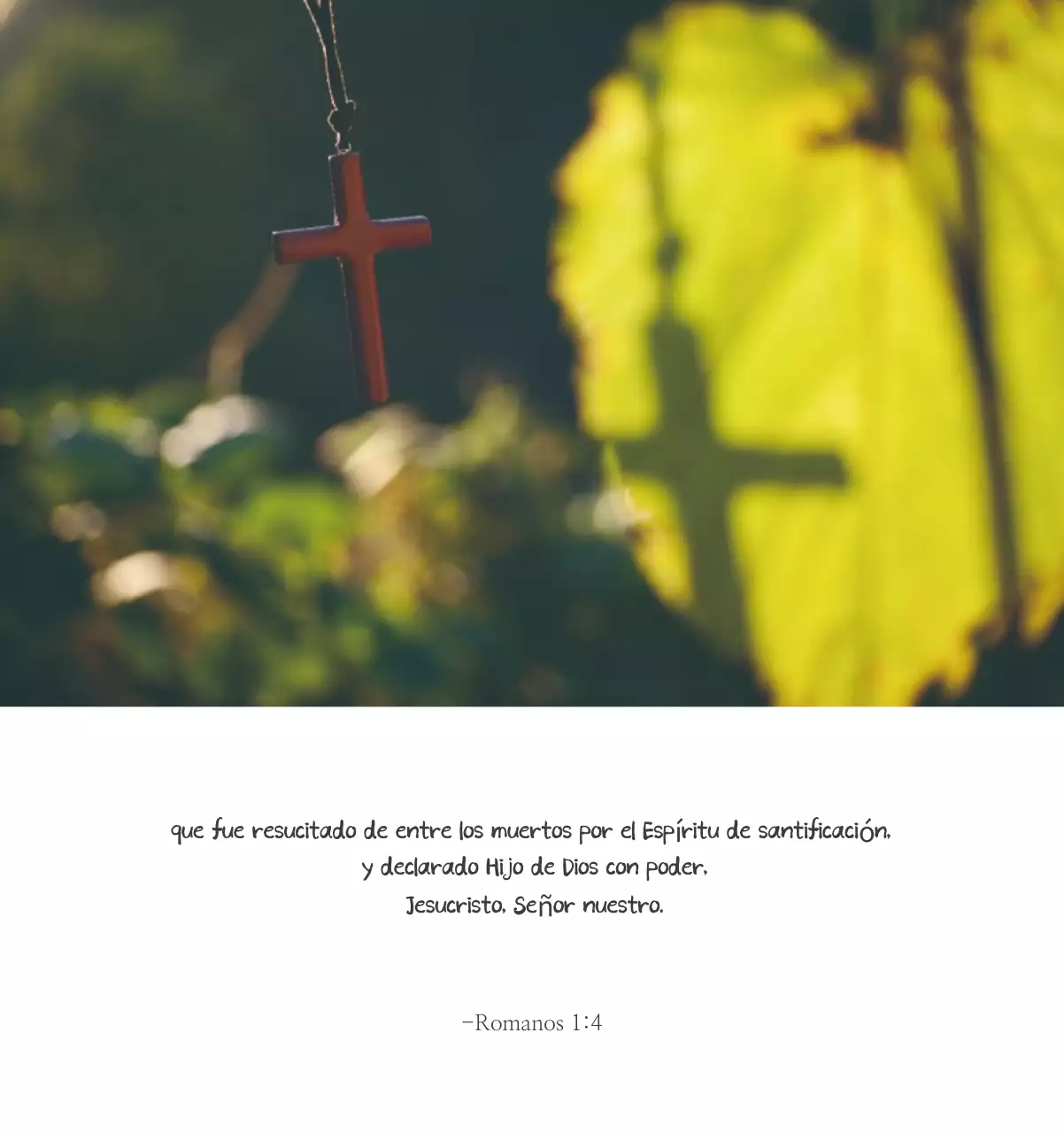 Caligrafía sencilla Promoción de la Biblia en la Iglesia