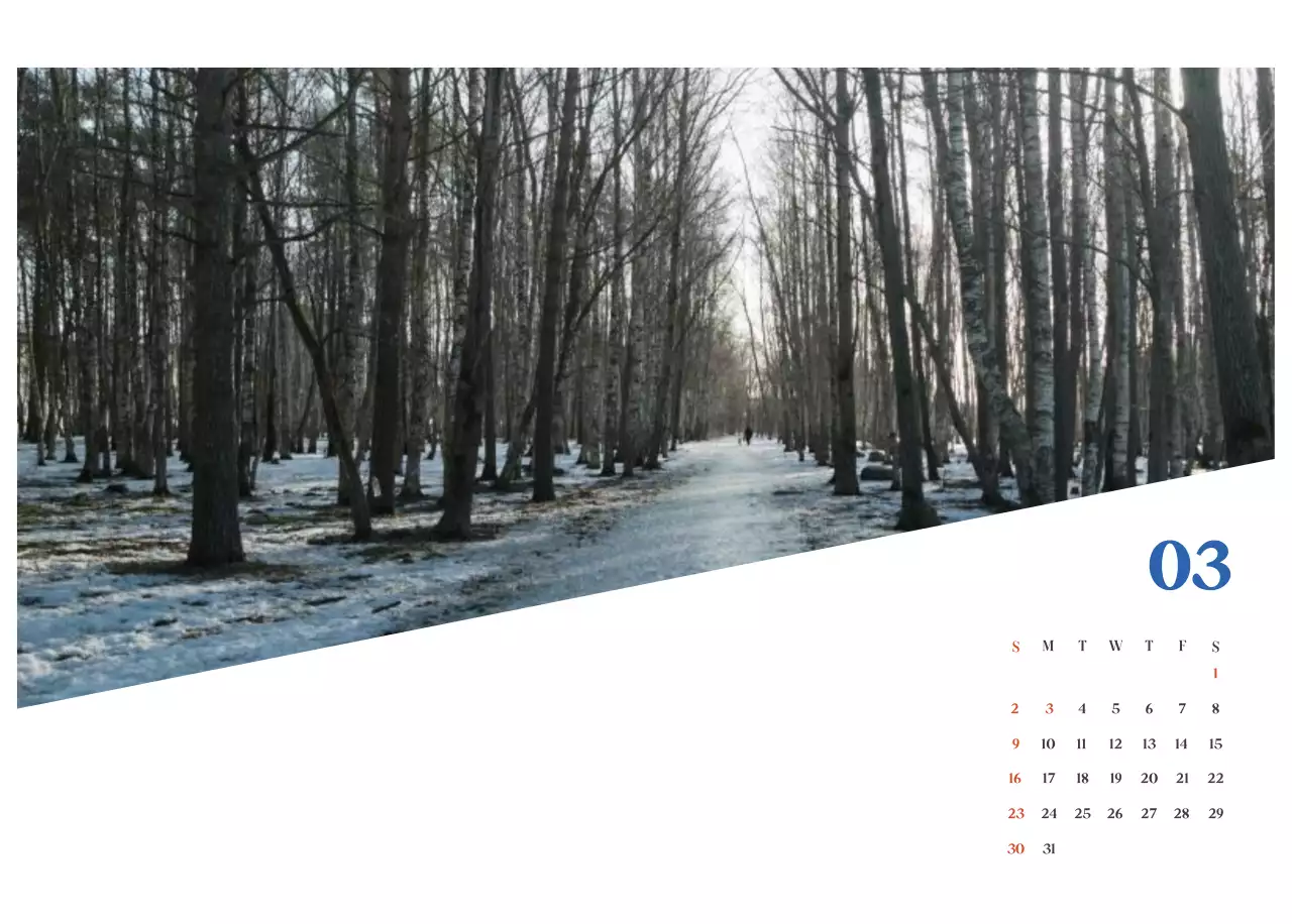 Blue Modern Hospital Calendar