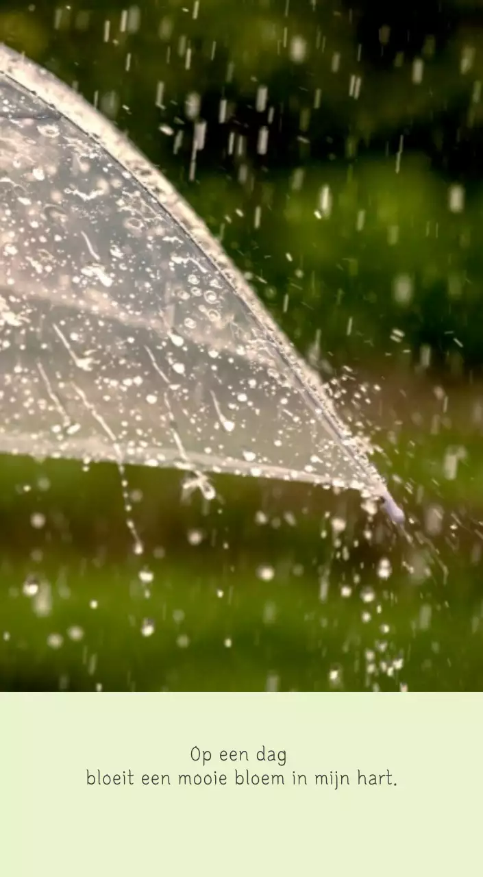Witte schone botanische natuurkalender