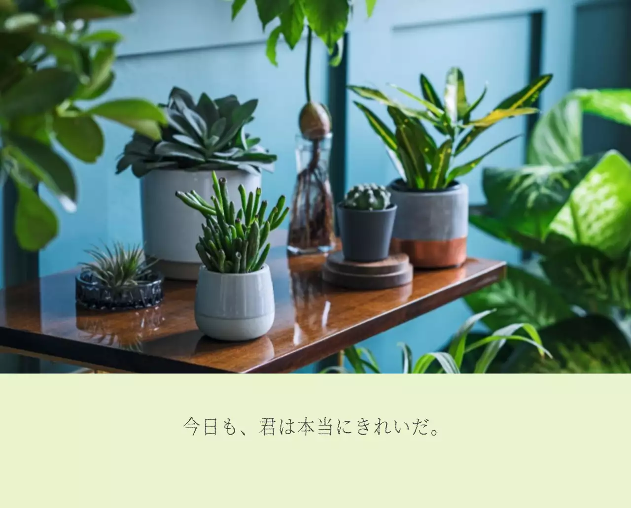 ホワイトのすっきりとしたボタニカルナチュラルカレンダー