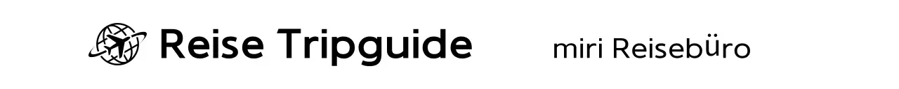 Schwarzes einfaches Reiselogo