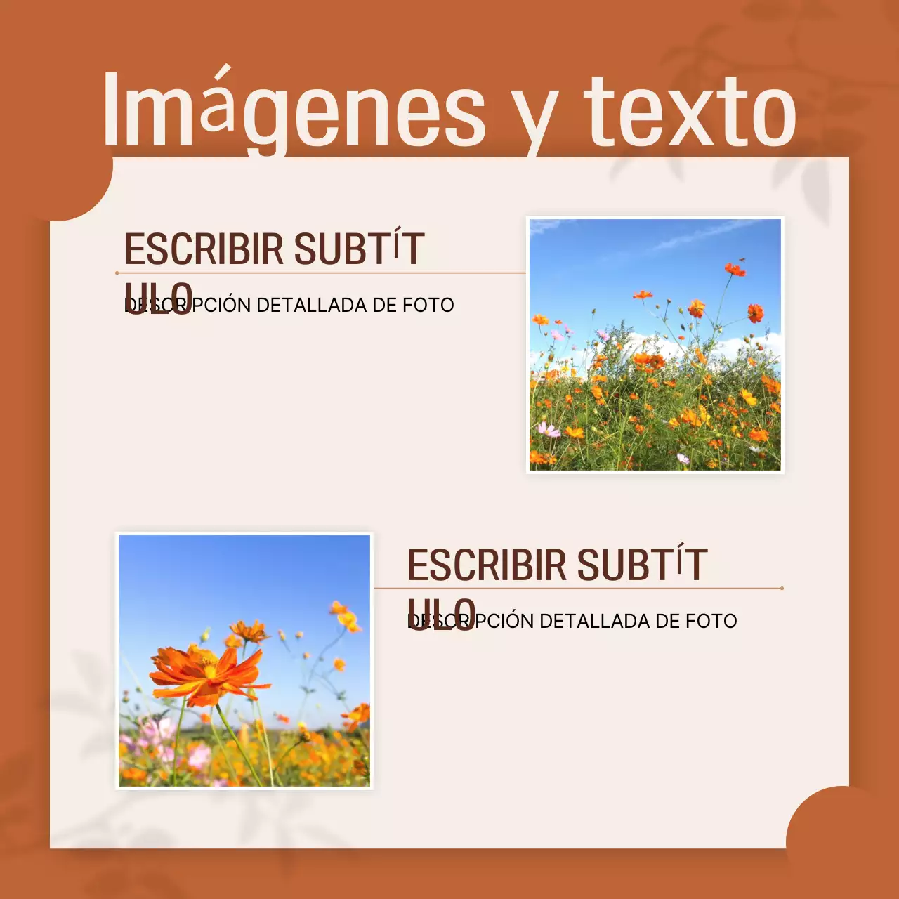 Documentación del diseño Orange Simple