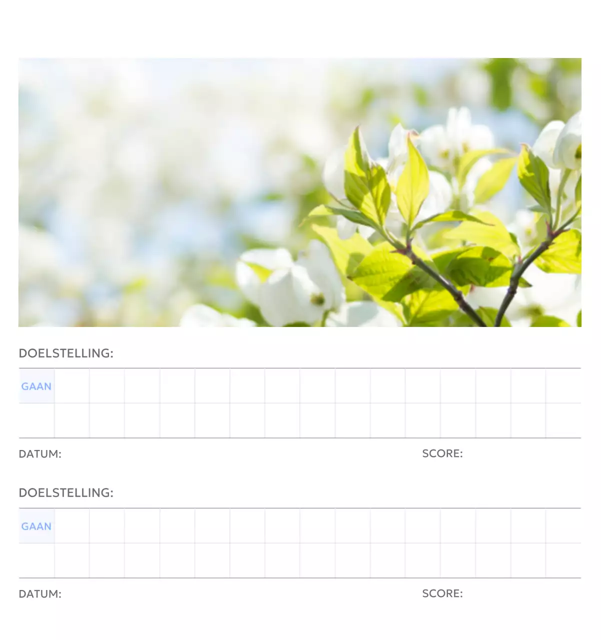 Photo goal tracker kalender met een vleugje blauw