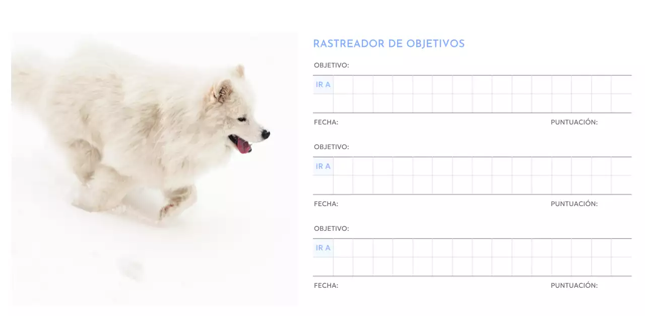 Calendario fotográfico de seguimiento de objetivos con un toque de azul