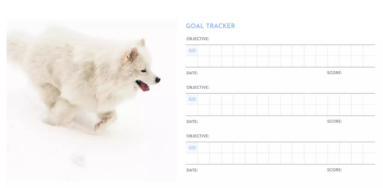 青色が映えるフォトゴールトラッカーカレンダー