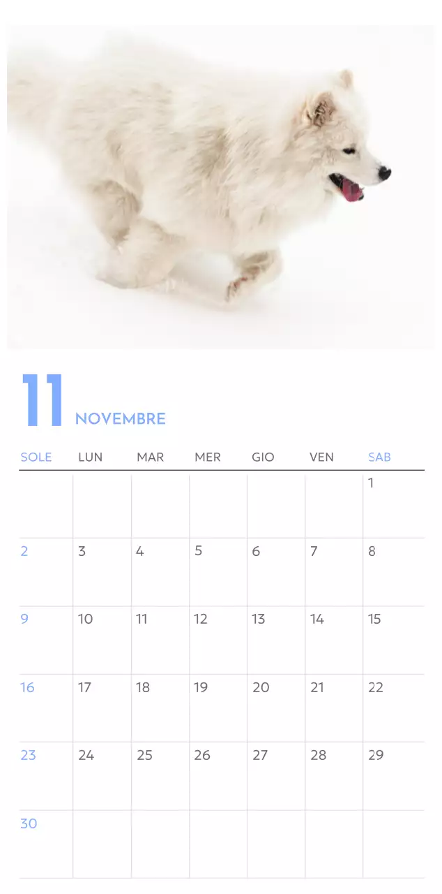 Calendario con foto tracciatore di obiettivi con un tocco di blu