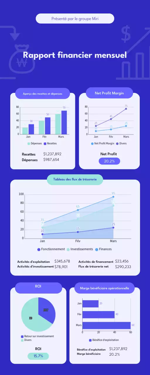 Infographie sur le rapport financier mensuel bleu et blanc