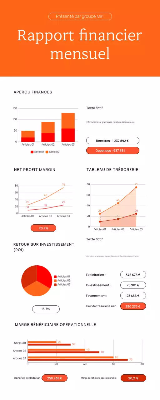 RAPPORT FINANCIER MENSUEL DE L'ENTREPRISE GRAPHIQUE ANALYSE INFOGRAPHIQUE