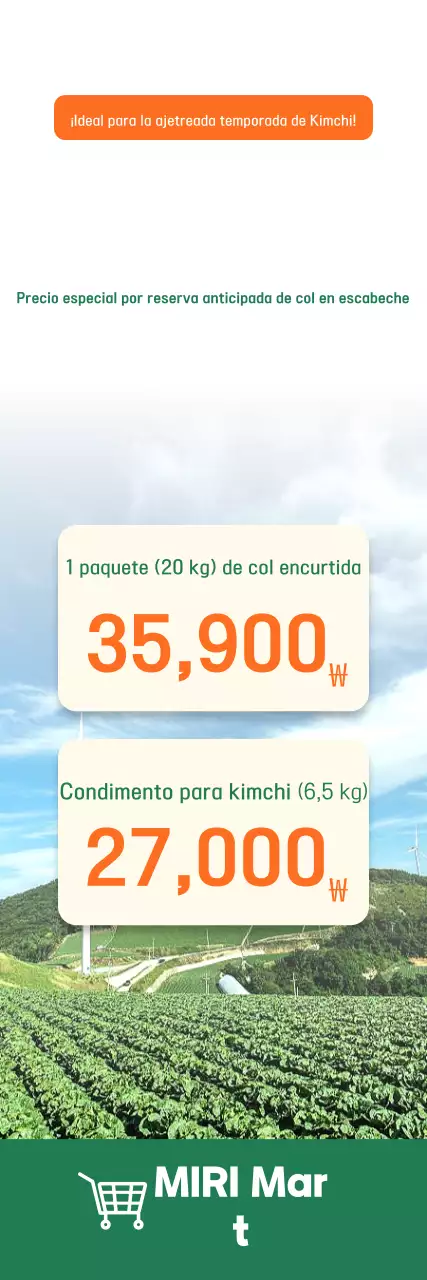 Guía de la col verde en escabeche