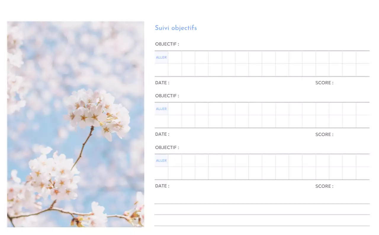 Calendrier photo de suivi des objectifs avec une touche de bleu