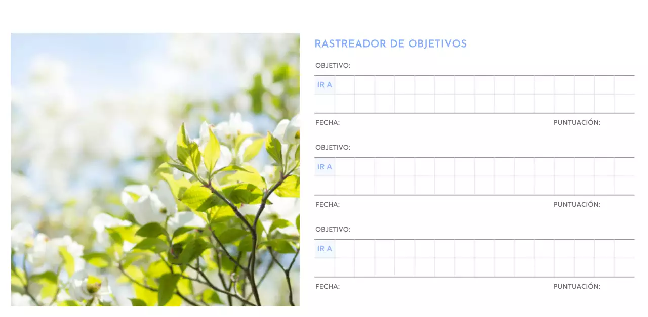 Calendario fotográfico de seguimiento de objetivos con un toque de azul