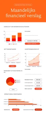 BEDRIJF MAANDELIJKS FINANCIEEL VERSLAG GRAFIEK ANALYSE INFOGRAPHIC