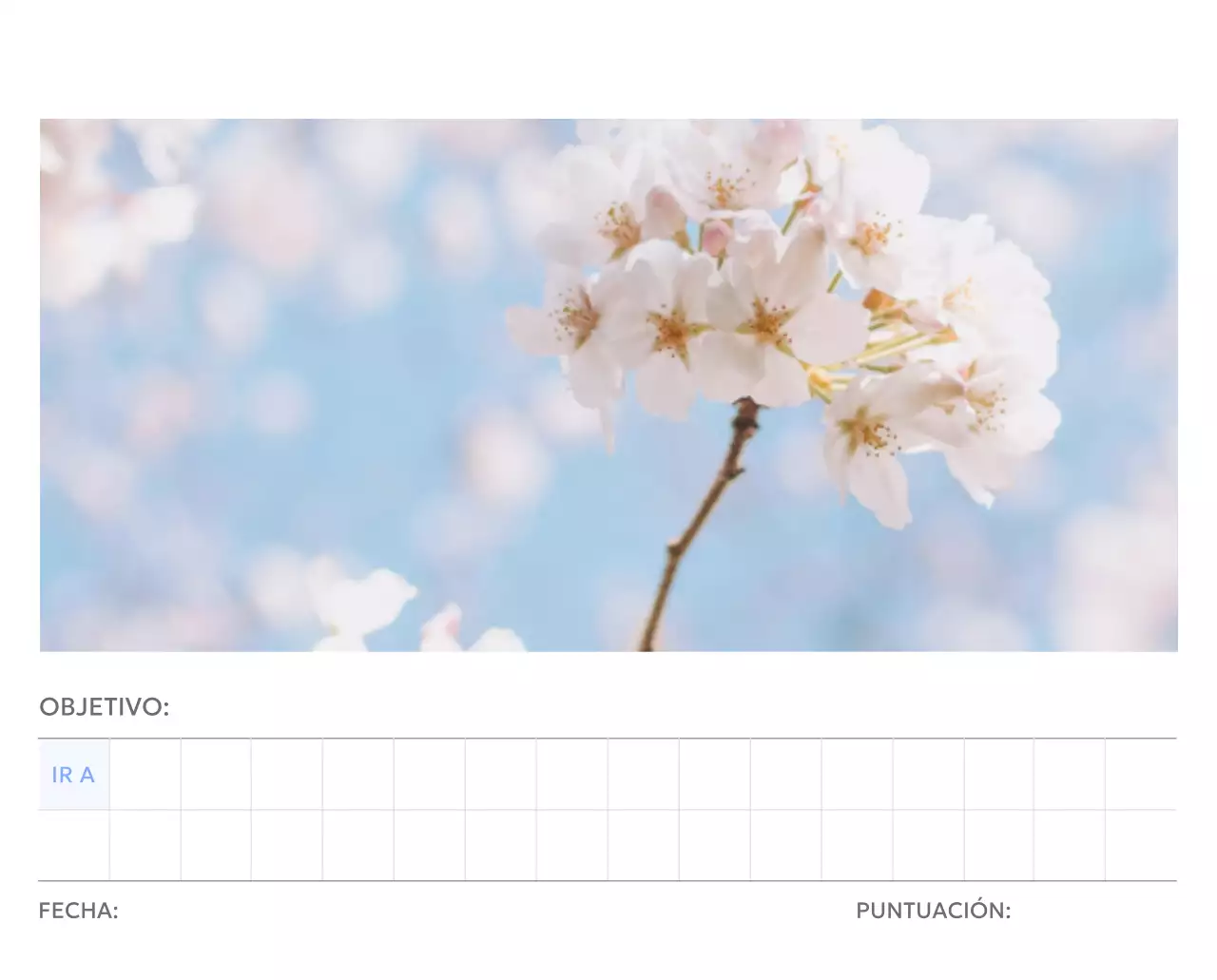 Calendario fotográfico de seguimiento de objetivos con un toque de azul