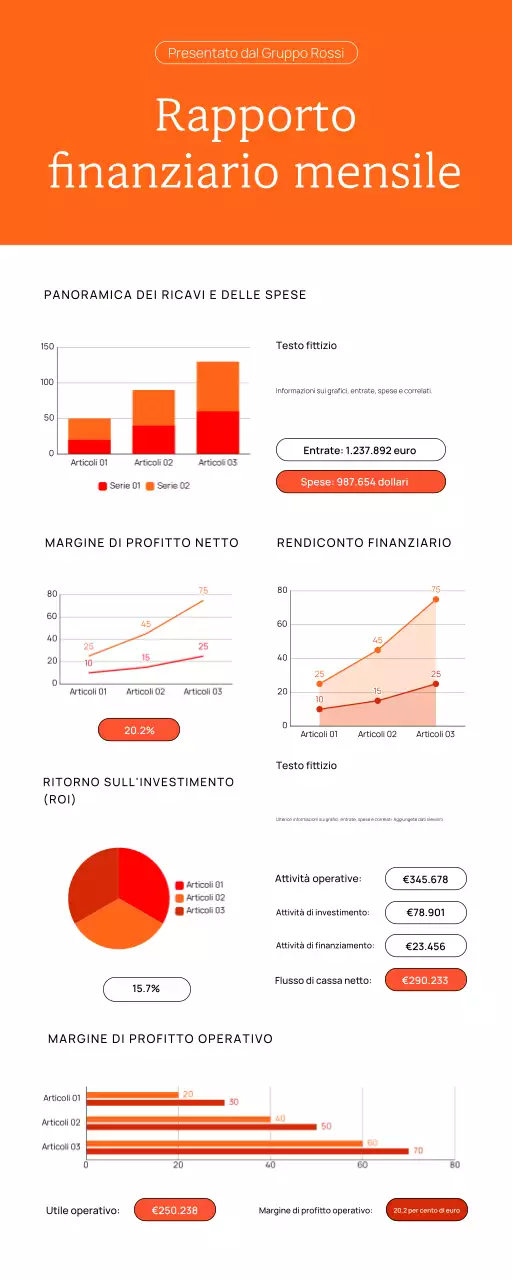 RAPPORTO FINANZIARIO MENSILE DI BUSINESS GRAFICO ANALISI INFOGRAFICA