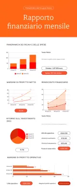 RAPPORTO FINANZIARIO MENSILE DI BUSINESS GRAFICO ANALISI INFOGRAFICA