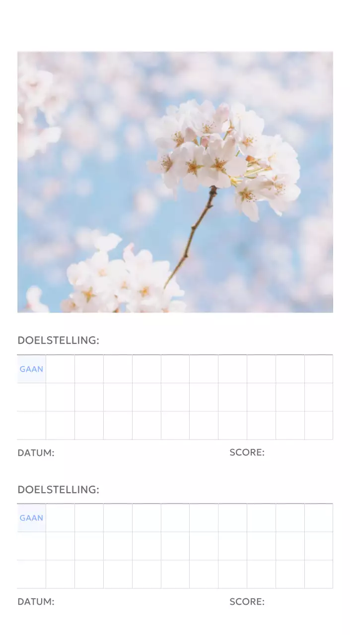 Photo goal tracker kalender met een vleugje blauw