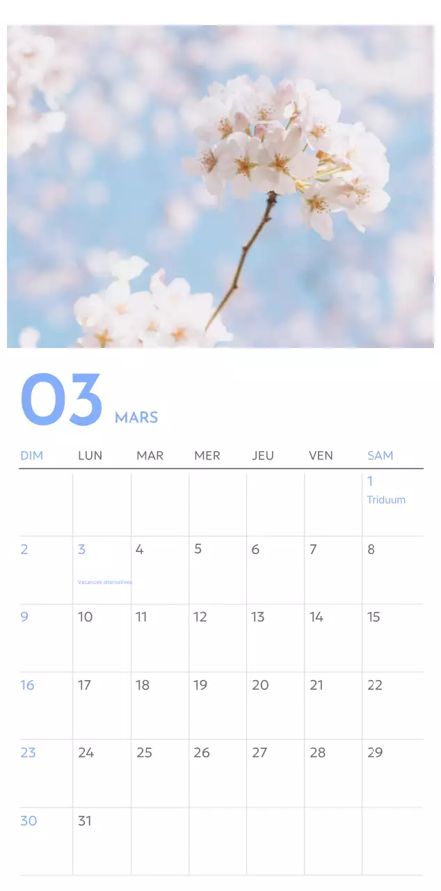 Calendrier photo de suivi des objectifs avec une touche de bleu