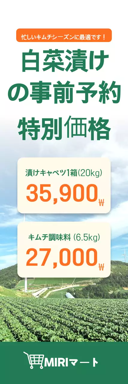 青のり漬けキャベツのご案内