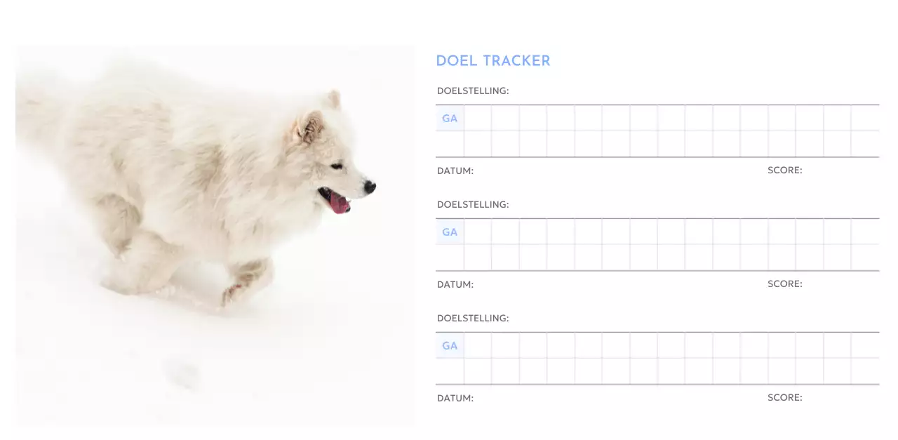 Photo goal tracker kalender met een vleugje blauw