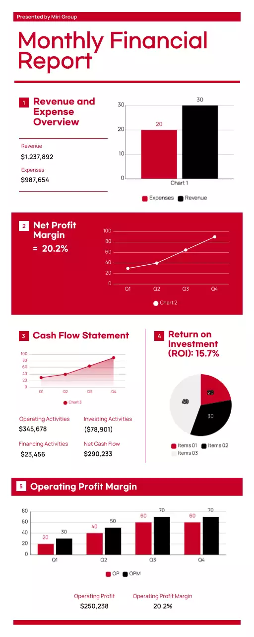 Red Professional Financial Report Document Infographic