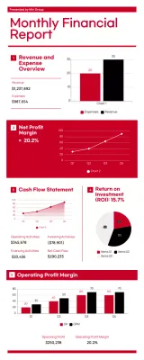 Red Professional Financial Report Document Infographic