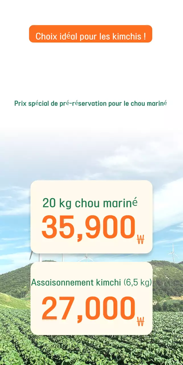 Guide du chou vert mariné