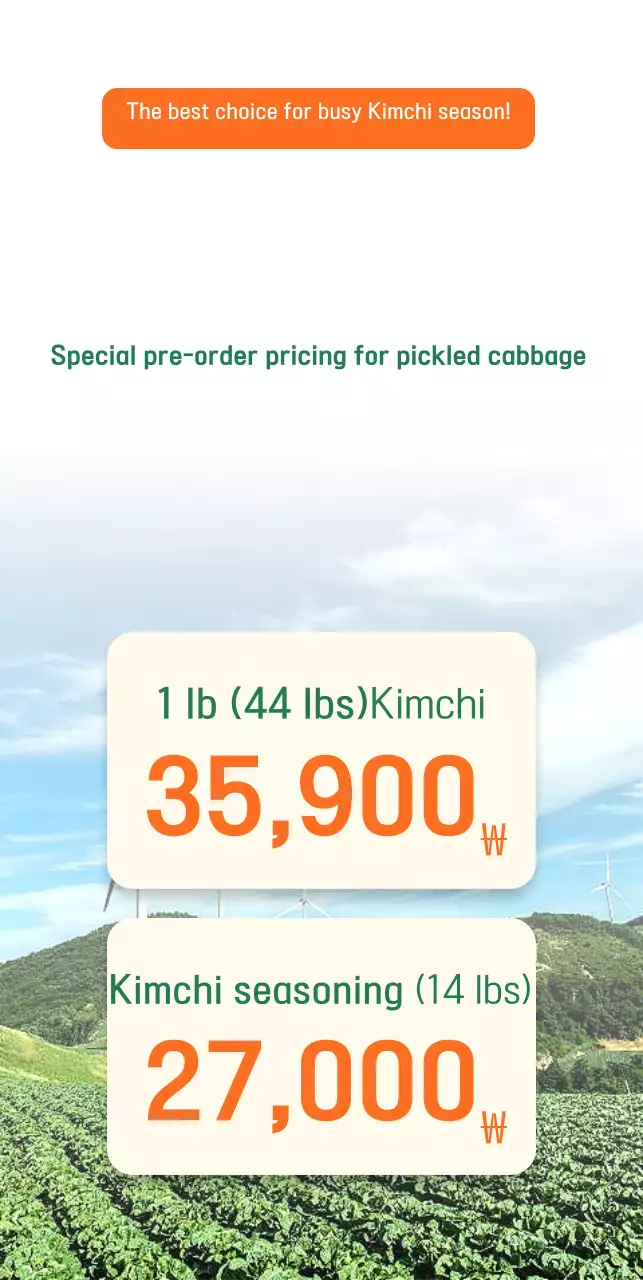 Guide to Green Neat Pickled Cabbage